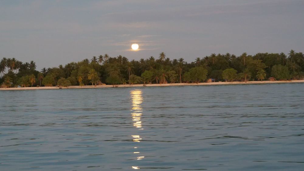 Budi Budi (Laughlan Islands)